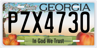 GA license plate PZX4730