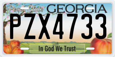 GA license plate PZX4733