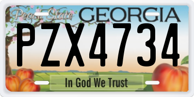 GA license plate PZX4734
