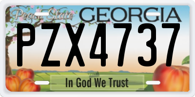 GA license plate PZX4737