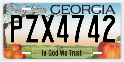 GA license plate PZX4742
