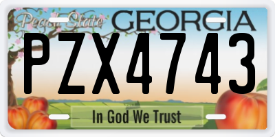 GA license plate PZX4743
