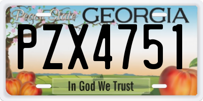 GA license plate PZX4751