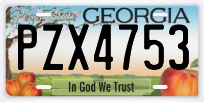 GA license plate PZX4753