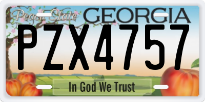 GA license plate PZX4757
