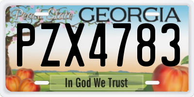 GA license plate PZX4783
