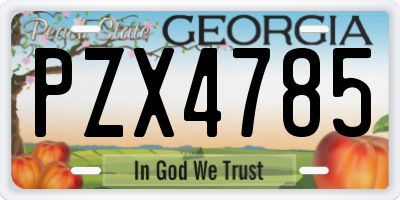 GA license plate PZX4785