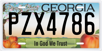 GA license plate PZX4786