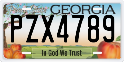 GA license plate PZX4789