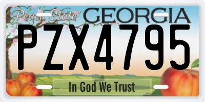 GA license plate PZX4795