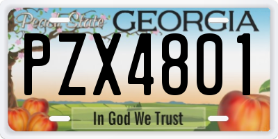 GA license plate PZX4801