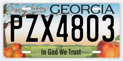GA license plate PZX4803