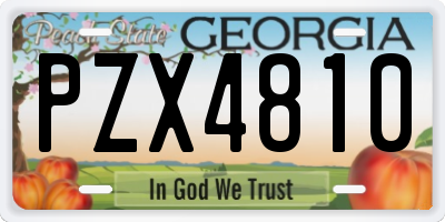 GA license plate PZX4810