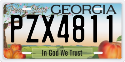GA license plate PZX4811
