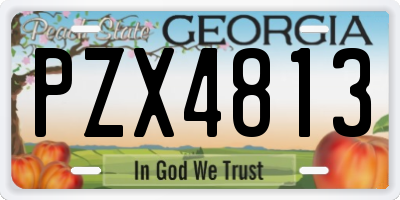 GA license plate PZX4813