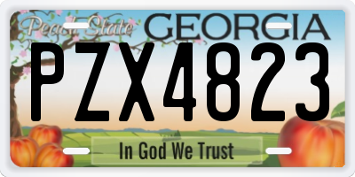GA license plate PZX4823