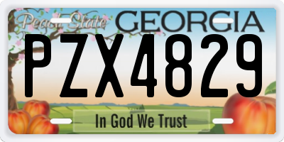 GA license plate PZX4829
