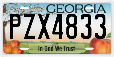GA license plate PZX4833