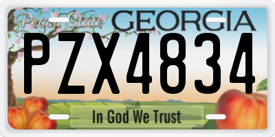 GA license plate PZX4834