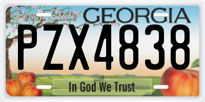GA license plate PZX4838