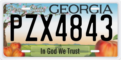 GA license plate PZX4843
