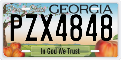 GA license plate PZX4848