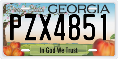 GA license plate PZX4851