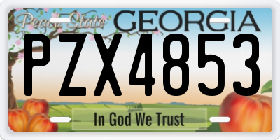 GA license plate PZX4853