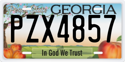GA license plate PZX4857