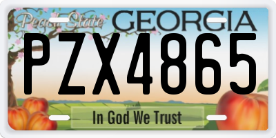 GA license plate PZX4865