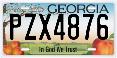 GA license plate PZX4876