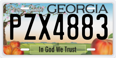GA license plate PZX4883
