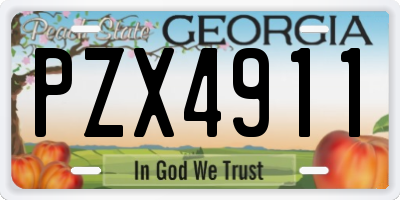GA license plate PZX4911