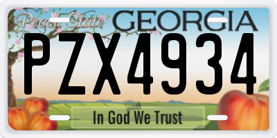 GA license plate PZX4934