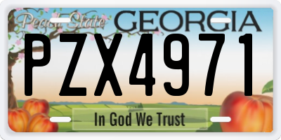 GA license plate PZX4971