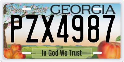 GA license plate PZX4987