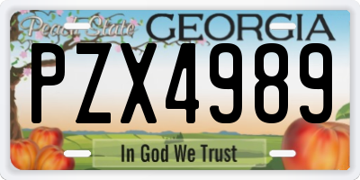 GA license plate PZX4989