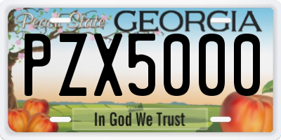 GA license plate PZX5000