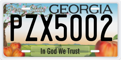 GA license plate PZX5002