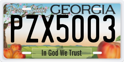 GA license plate PZX5003