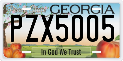 GA license plate PZX5005