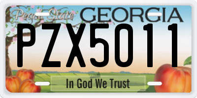 GA license plate PZX5011