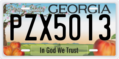 GA license plate PZX5013