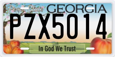 GA license plate PZX5014
