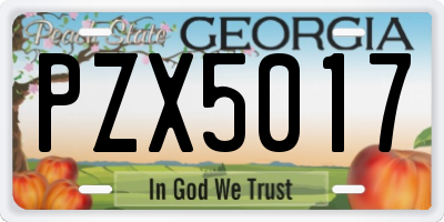 GA license plate PZX5017