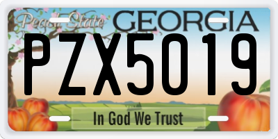 GA license plate PZX5019