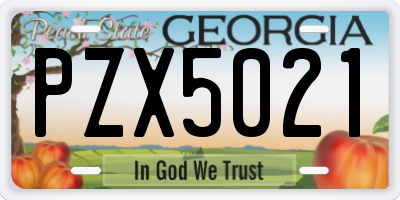 GA license plate PZX5021