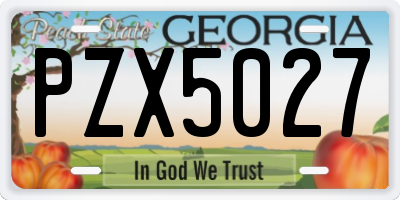 GA license plate PZX5027