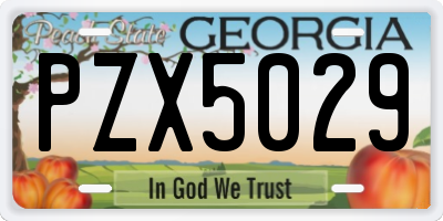 GA license plate PZX5029
