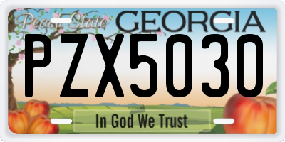 GA license plate PZX5030